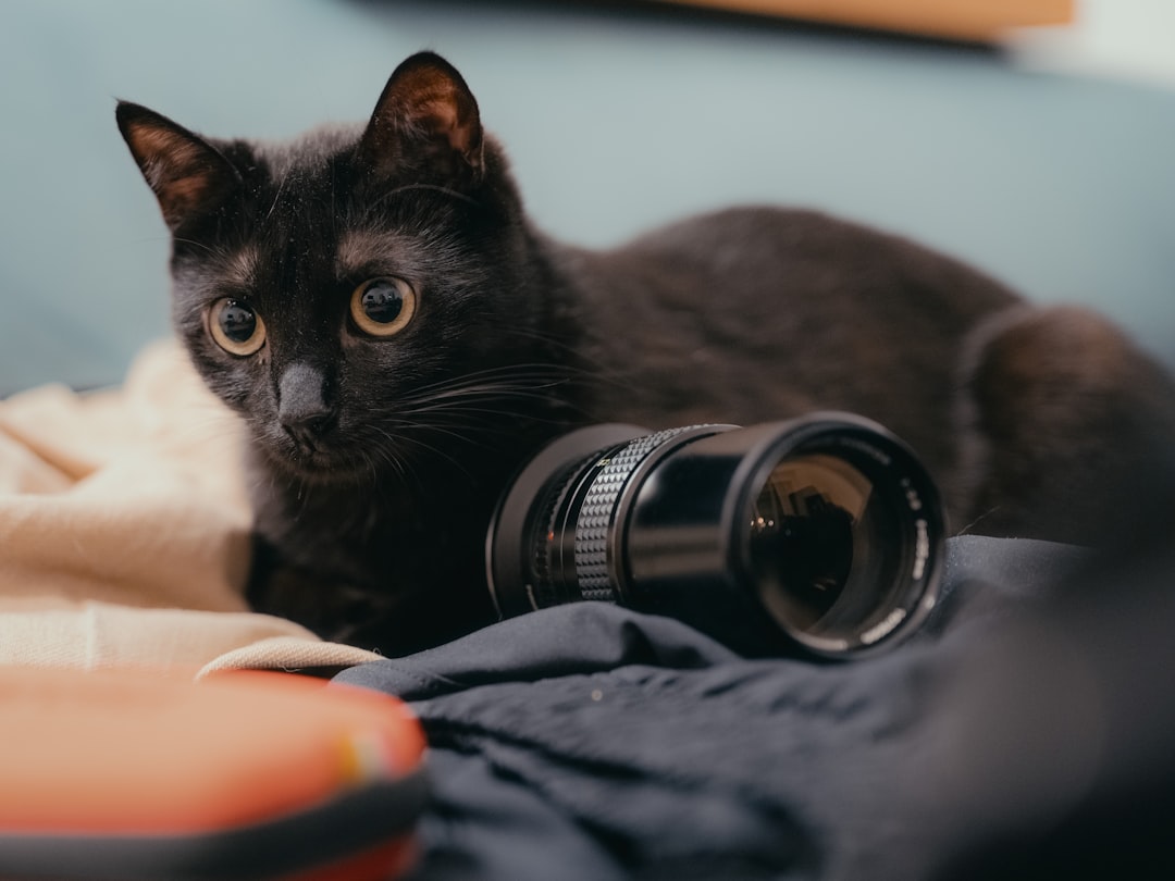 Unlocking Creativity: How to Choose Your Ideal Photography Gear Unlocking Creativity: How to Choose Your Ideal Photography Gear