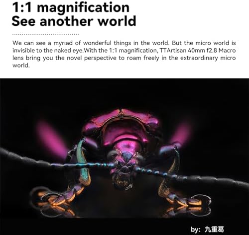 TTArtisan 40mm f/2.8 Macro Lens APS-C Manual Focus Prime Lens for E-Mount A5100 A6100 A6500 A6600 A6700 NEX-3N NEX-3R NEX-5T NEX-5R NEX-7 A7II A7M3 A7RIV A7R5 A7S A9 A1 II - Image 4