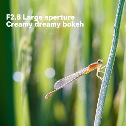 TTArtisan 40mm f/2.8 Macro Lens APS-C Manual Focus Prime Lens for E-Mount A5100 A6100 A6500 A6600 A6700 NEX-3N NEX-3R NEX-5T NEX-5R NEX-7 A7II A7M3 A7RIV A7R5 A7S A9 A1 II - Image 5